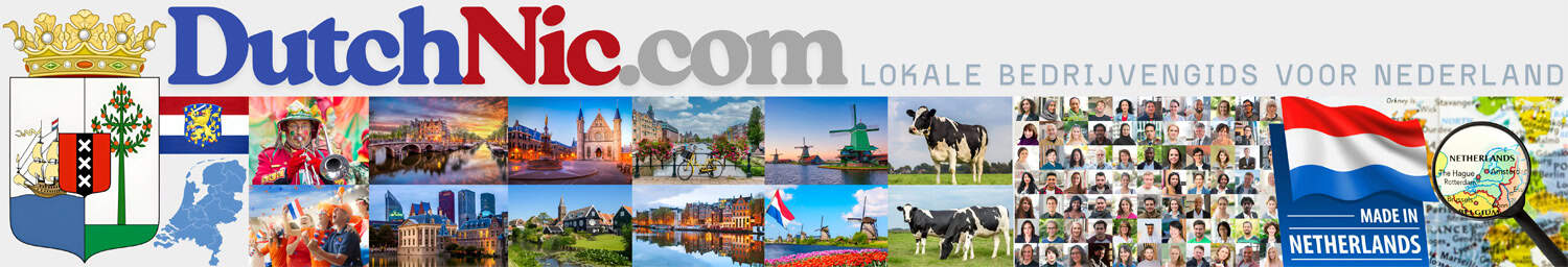 Gemaakt in Nederland - ICT Visie